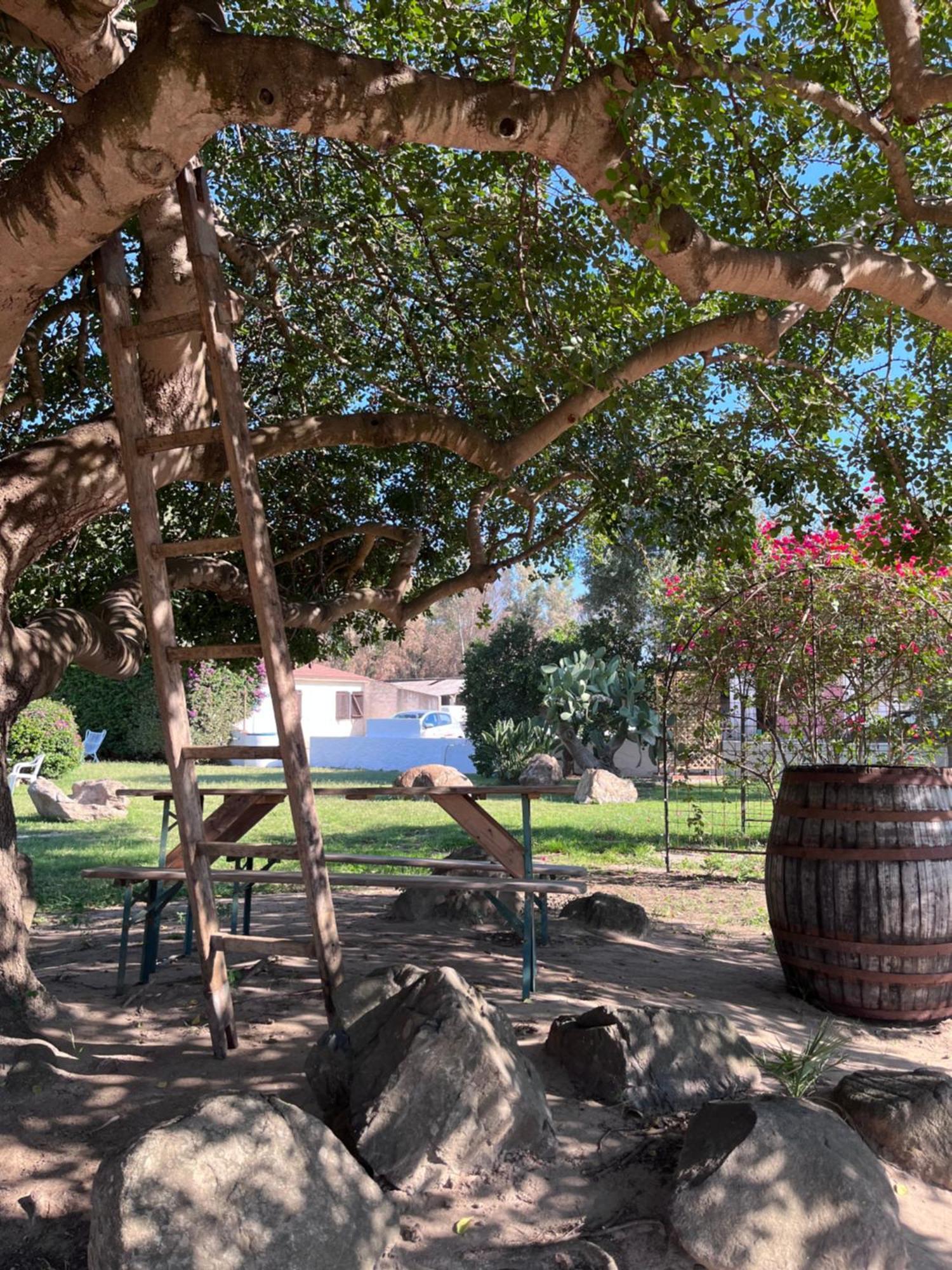 Bidd'E Majori Bed & Breakfast San Priamo Exterior foto