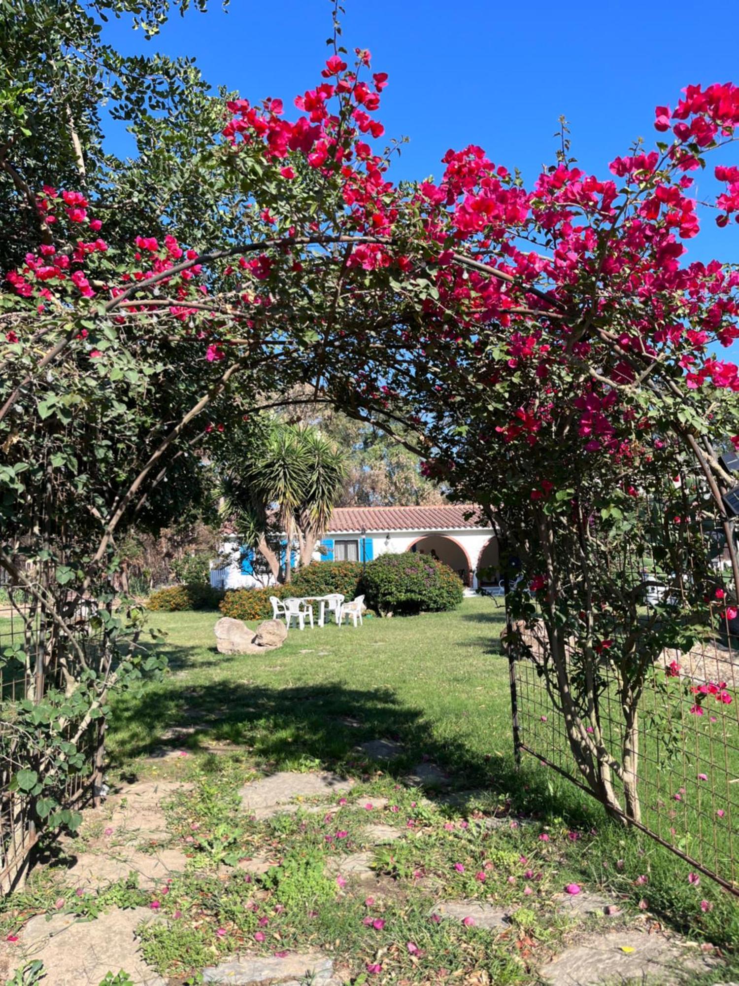Bidd'E Majori Bed & Breakfast San Priamo Exterior foto